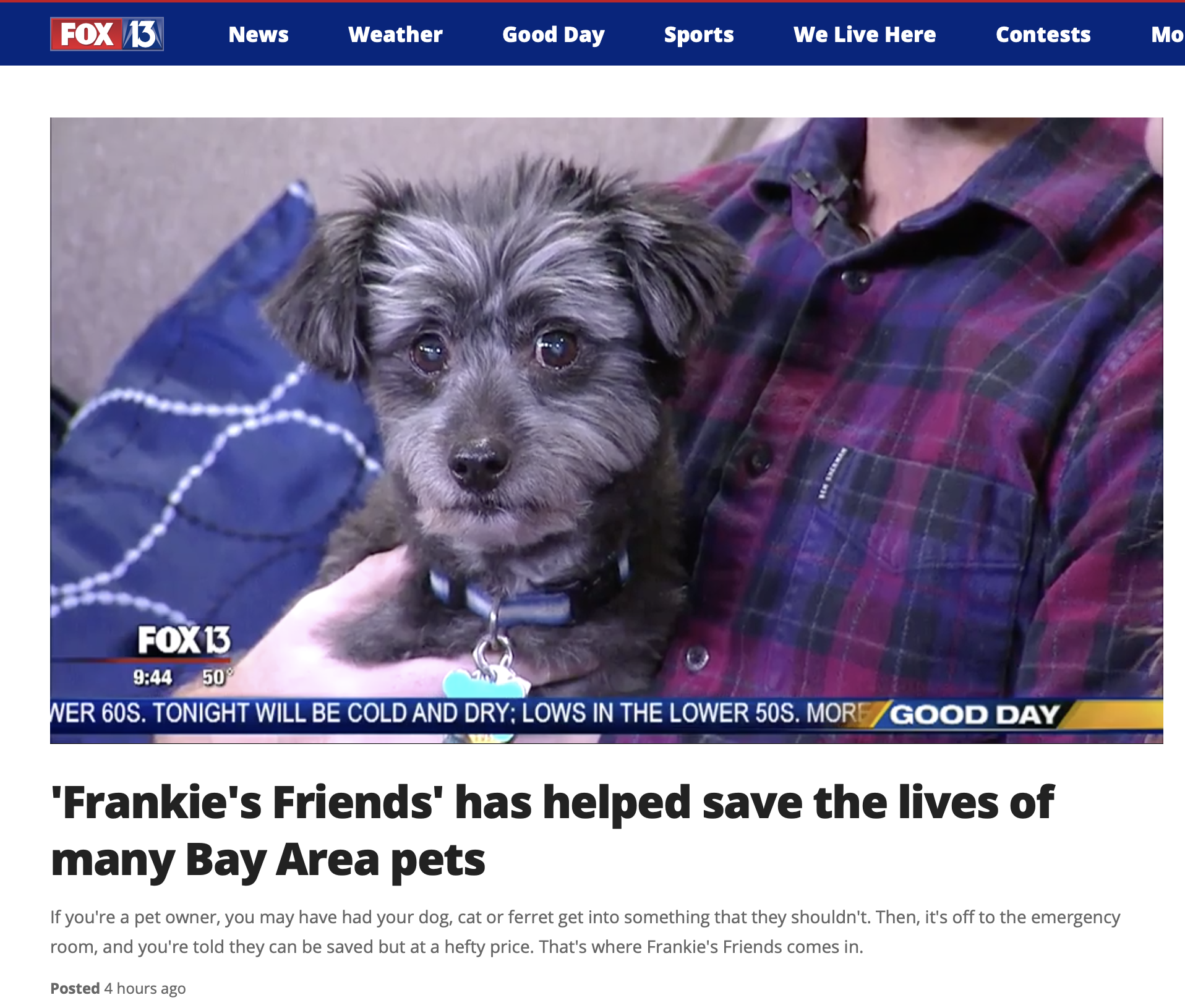 See How Frankie's Friends Helps Save the Lives of Tampa Bay Area Pets on FOX 13