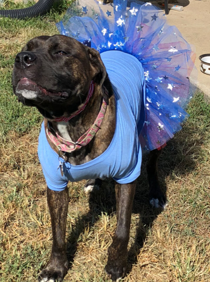 Bella 2.jpg