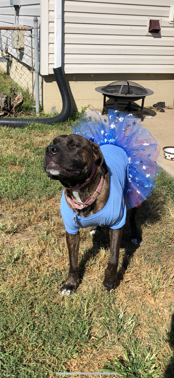 BELLA.png