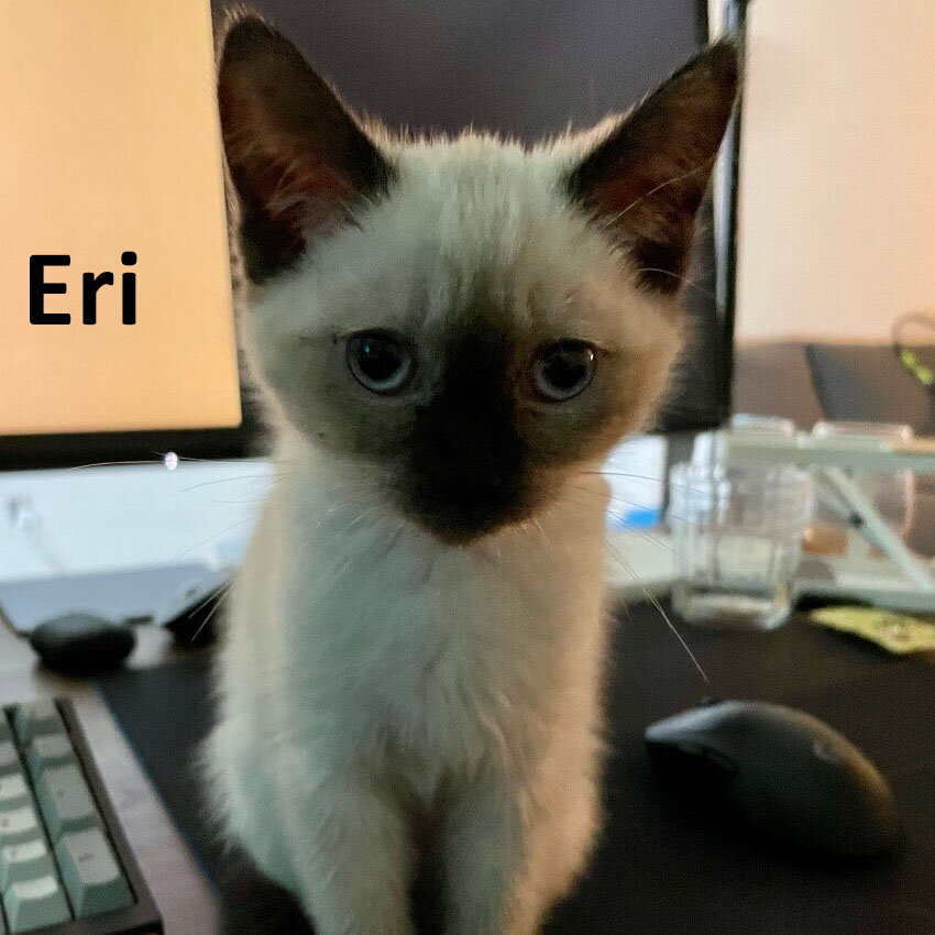 Eri 2.jpg