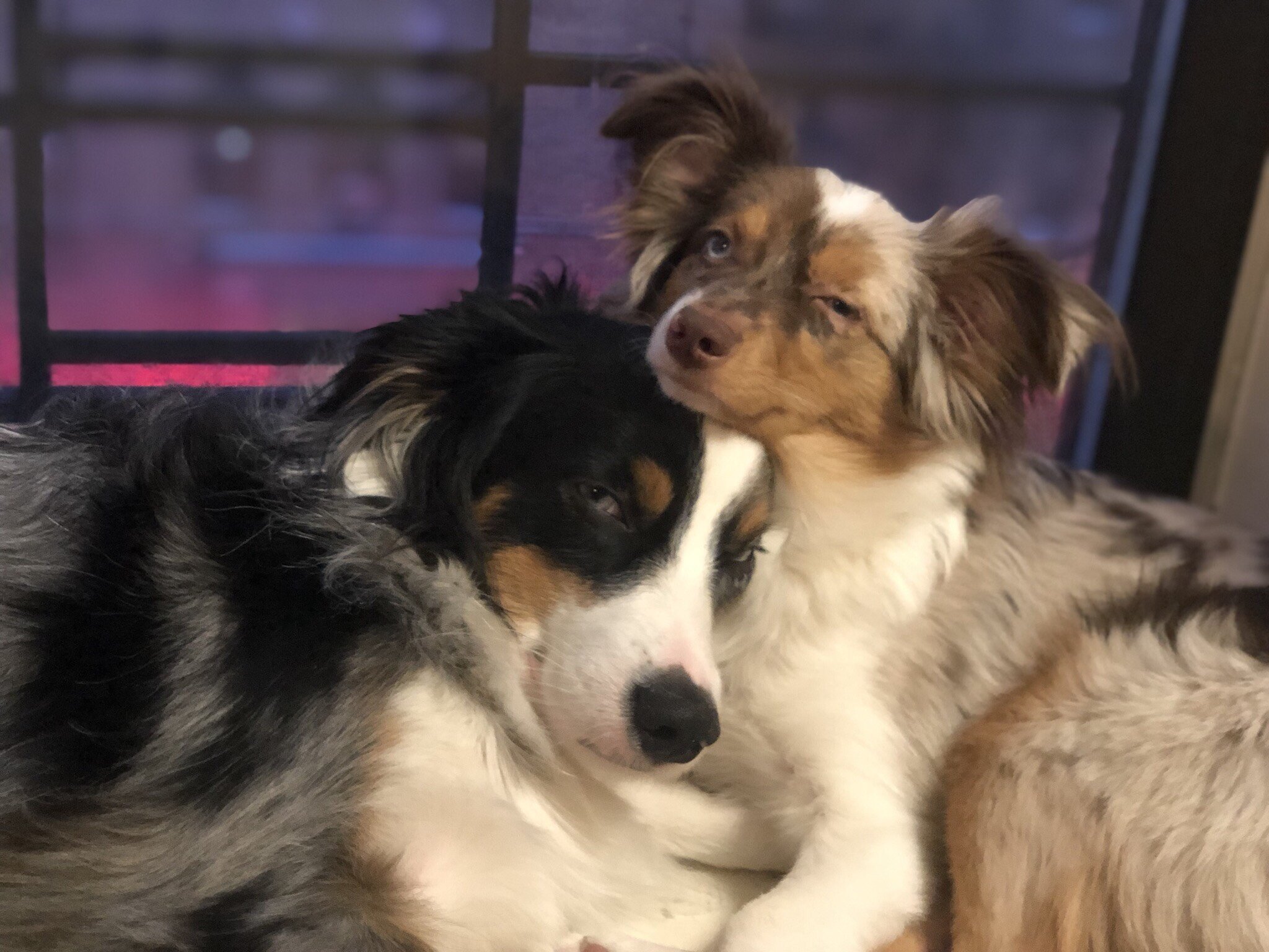 Dakota and her BFF