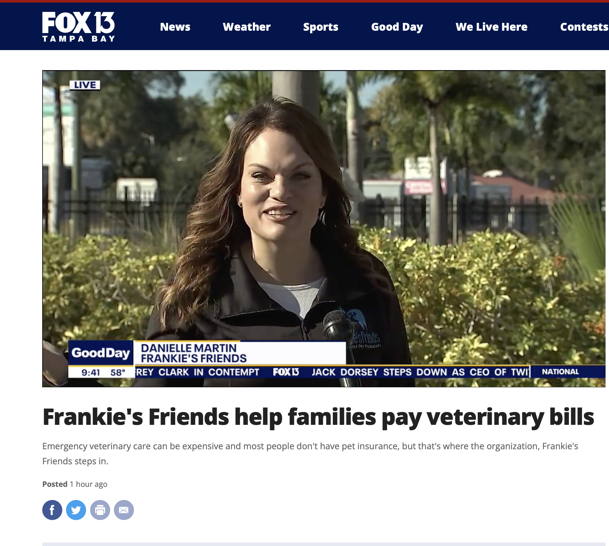 FOX13 Tampa Bay - Danielle Martin talks about how Frankie's Friends helps with emergency veterinary care for pets in need.