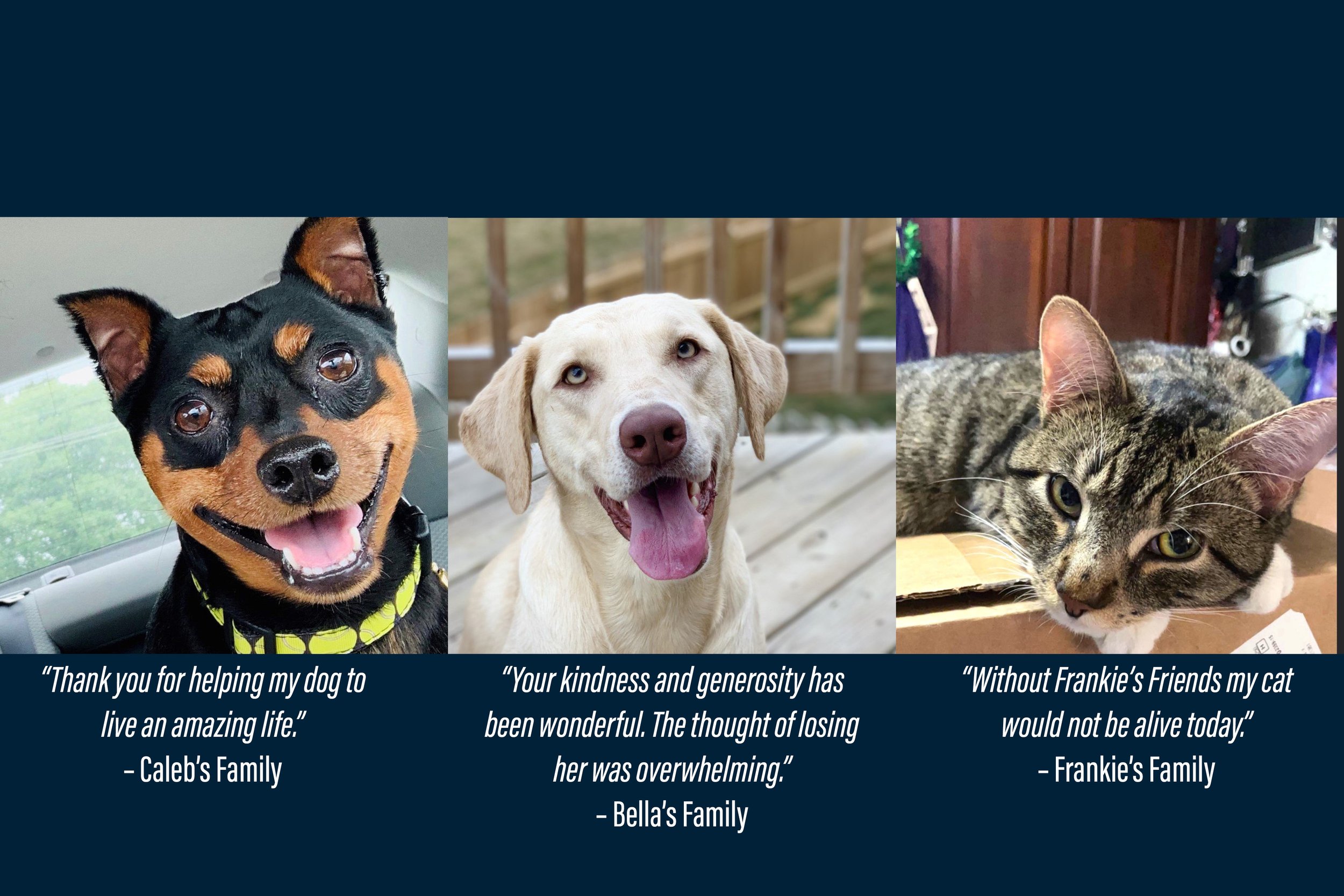 new larger panel for website front page.jpg