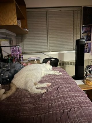 thumbnail_image2.jpg