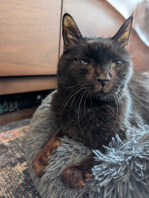 In Loving Memory of Ferdinand