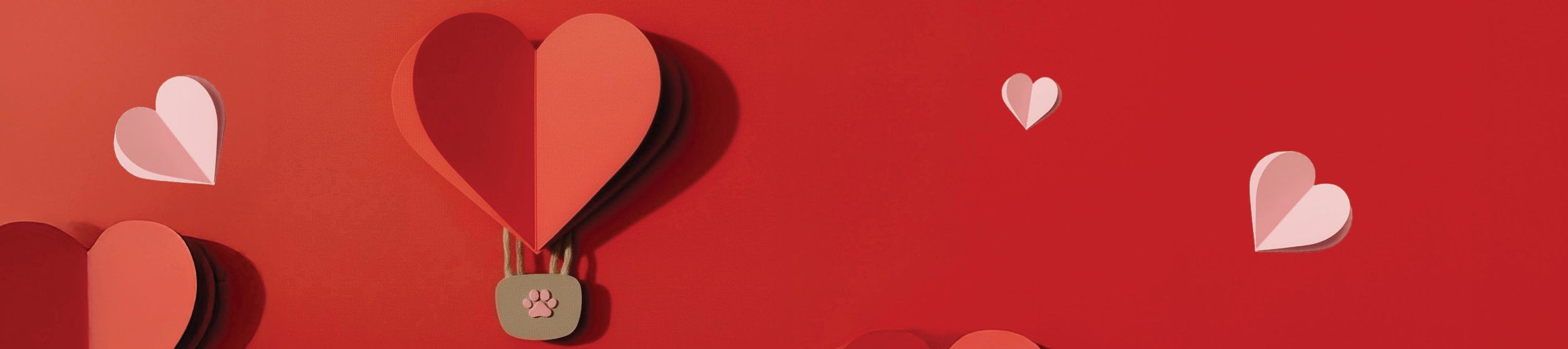 banner2.jpg